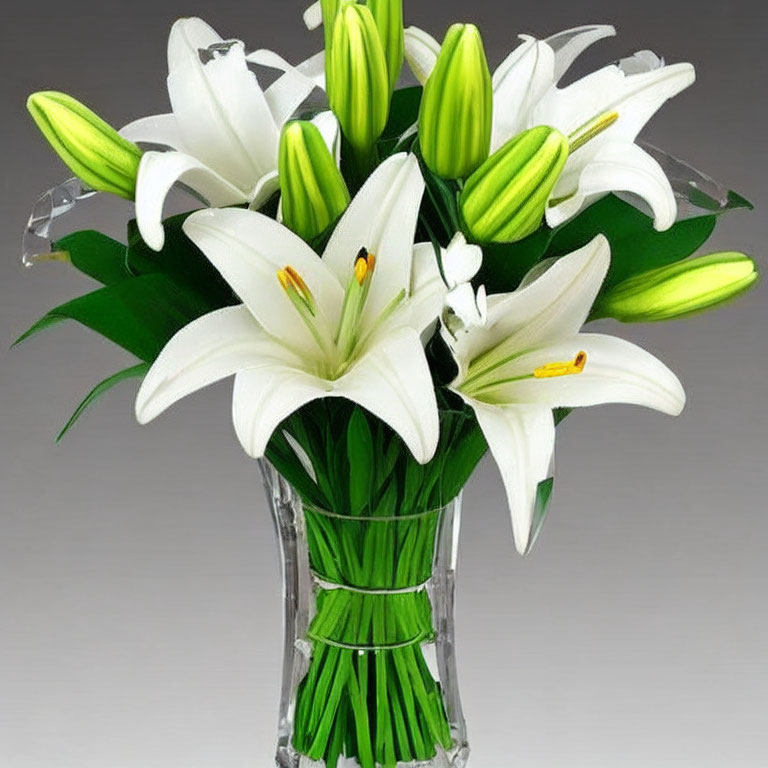 Fresh White Lilies Bouquet in Clear Cut-Glass Vase