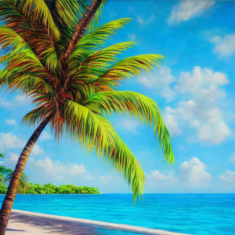 Tropical Beach Scene with Palm Tree on White Sandy Shore