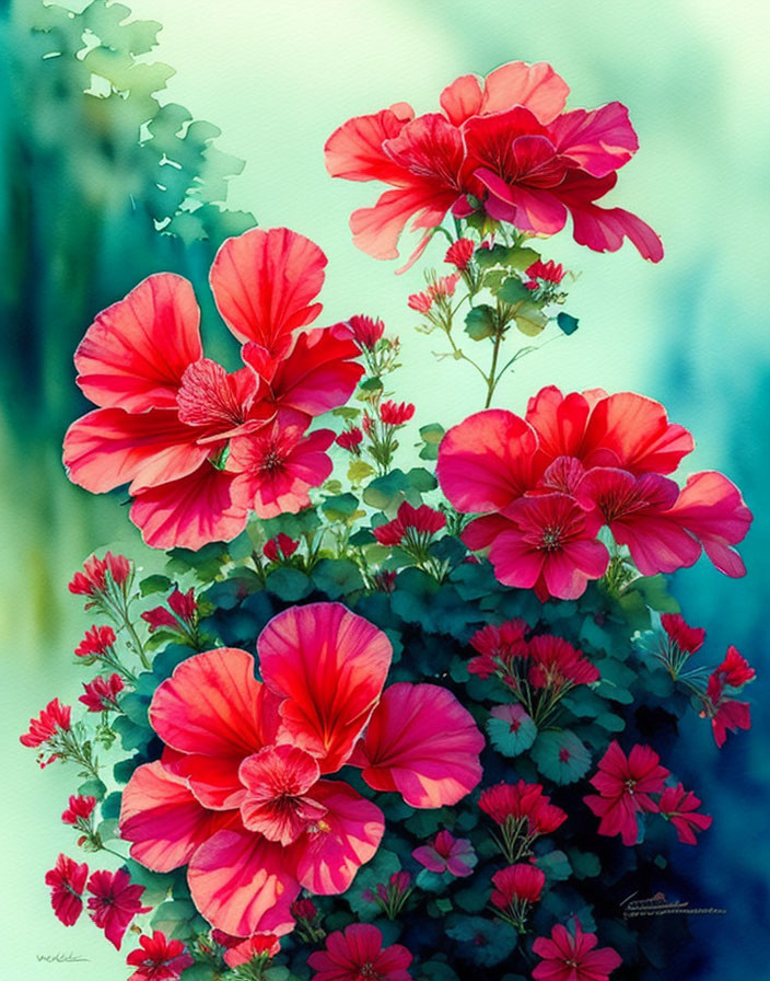 Colorful Watercolor Painting of Red-Pink Geranium Flowers