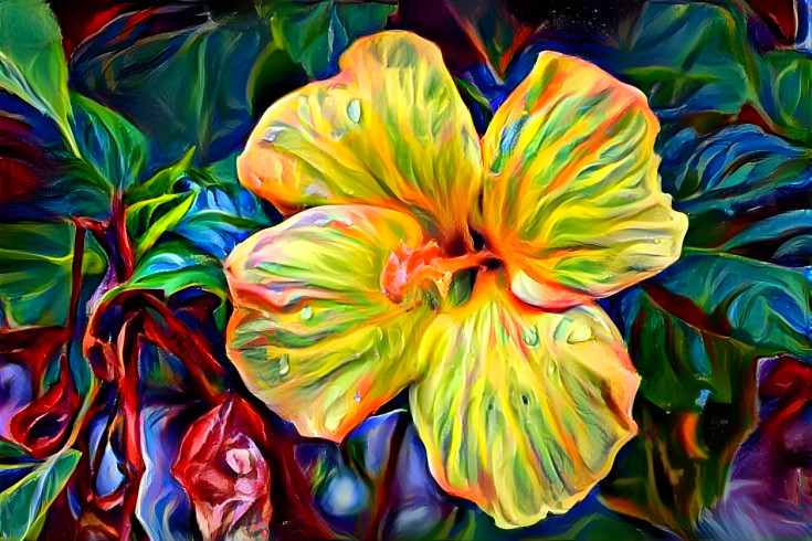 Yellow Hibiscus