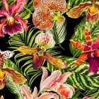 Colorful Orchids Painting Among Lush Green Foliage