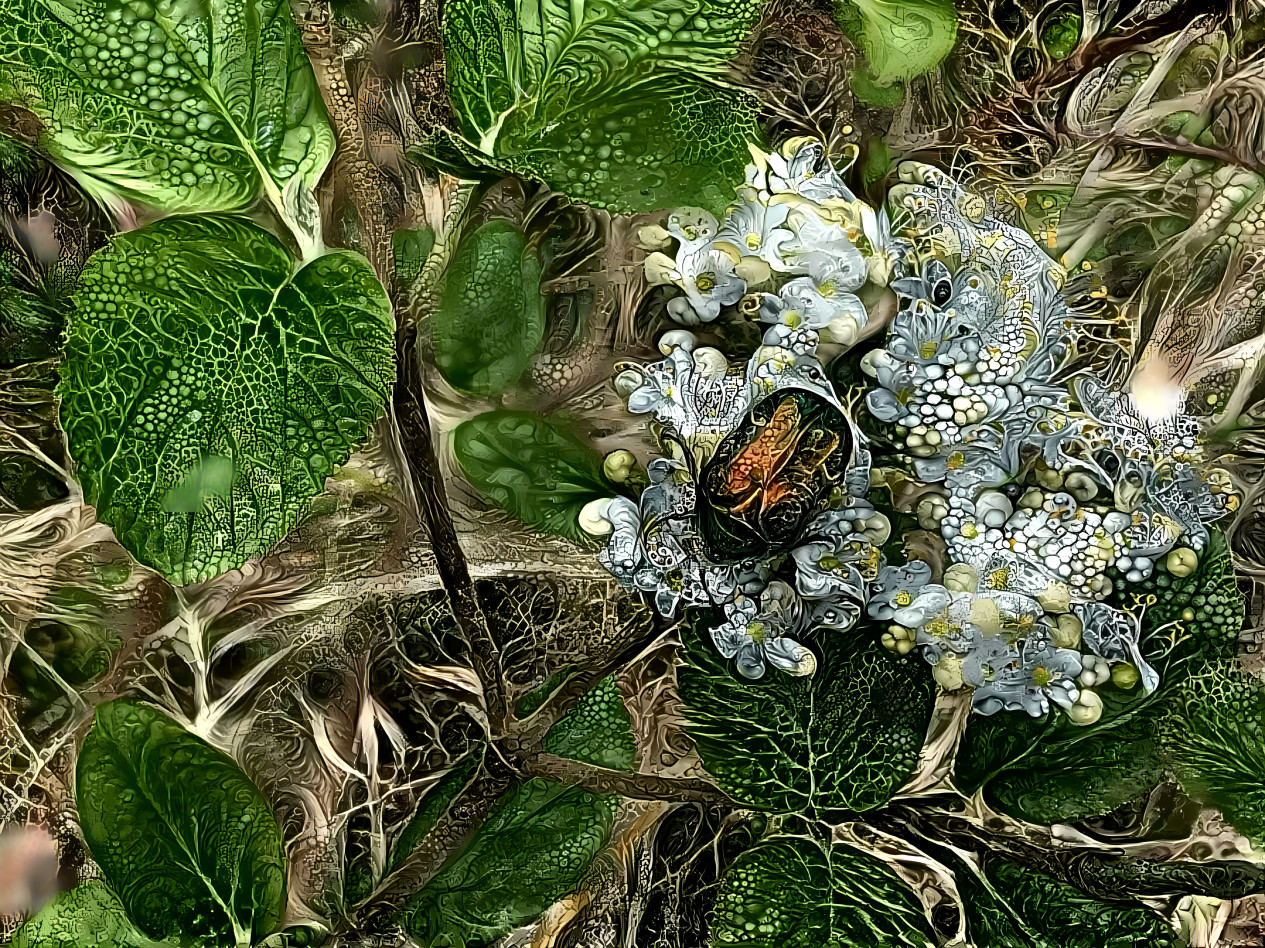 Entangled beetle