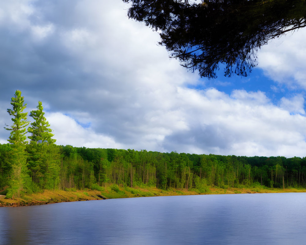 Tranquil lake with forest reflection under blue sky and pine branch.