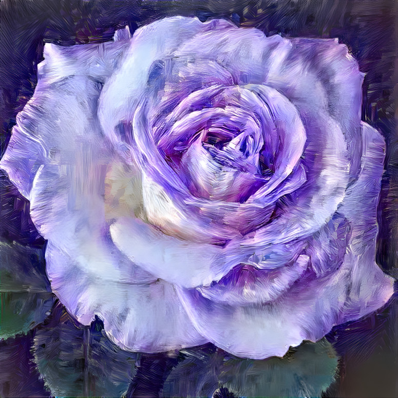 Lavender Rose