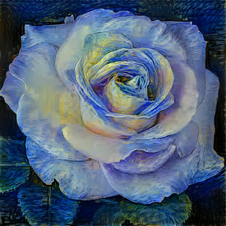 Starry Rose