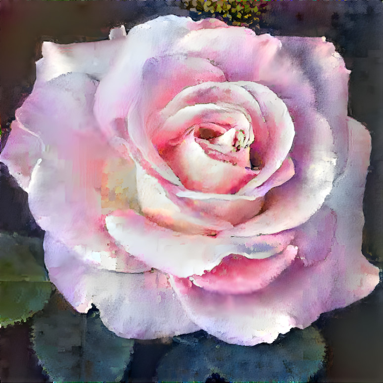 Dreamy Rose