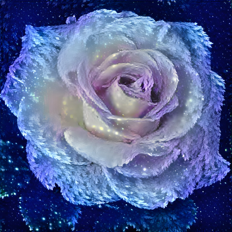 Frosted Rose