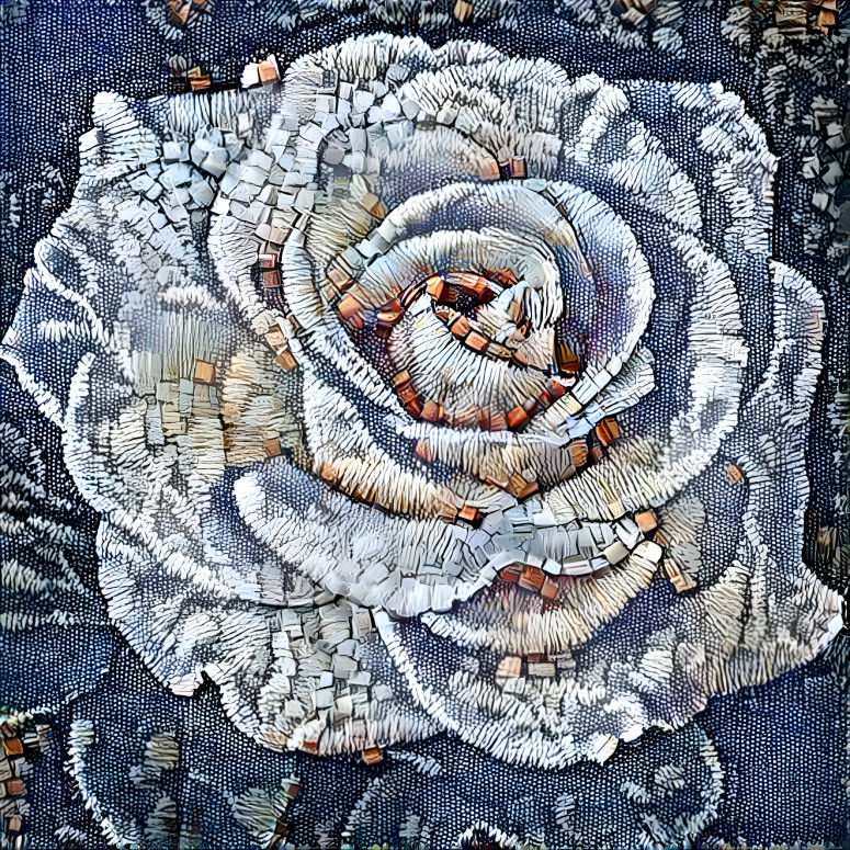 Woven Rose