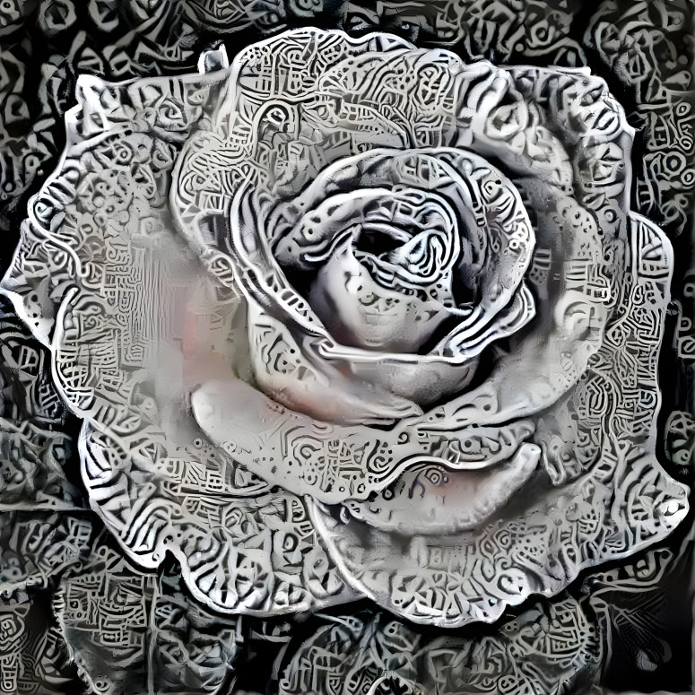 Grayscale Rose