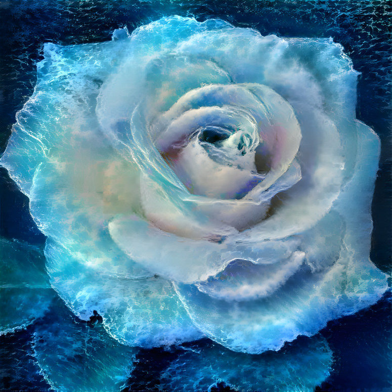 Ocean Rose