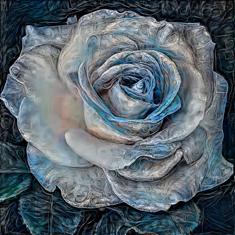 Silver and Blue Rose