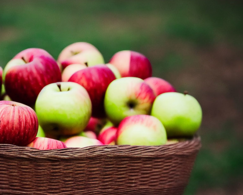 Basket of Ripe Red and Green Apples on Blurred Outdoor Background