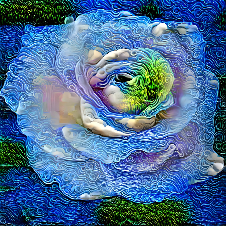 Swirly Rose