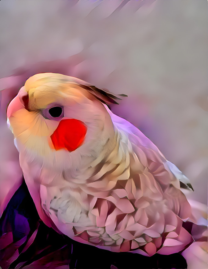 The pretty bird