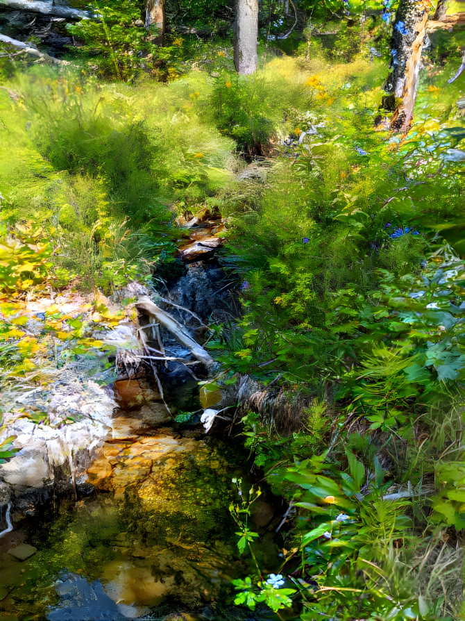 The Little Forest Stream