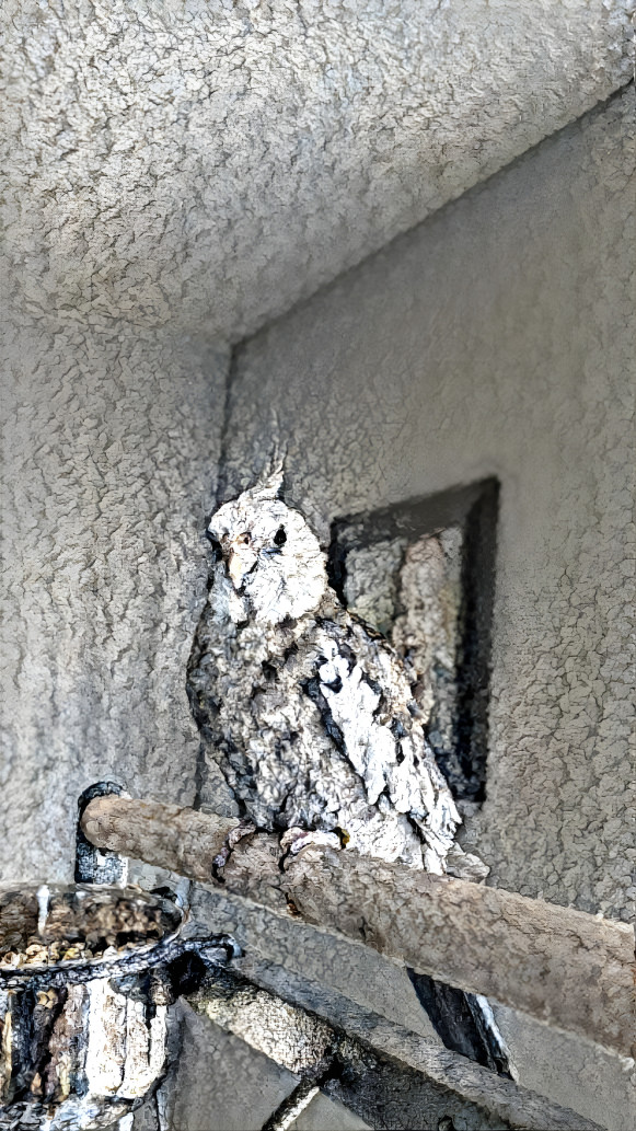 The Wooden White Faced Cockatiel