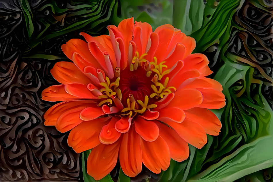 The Flower of Spirals