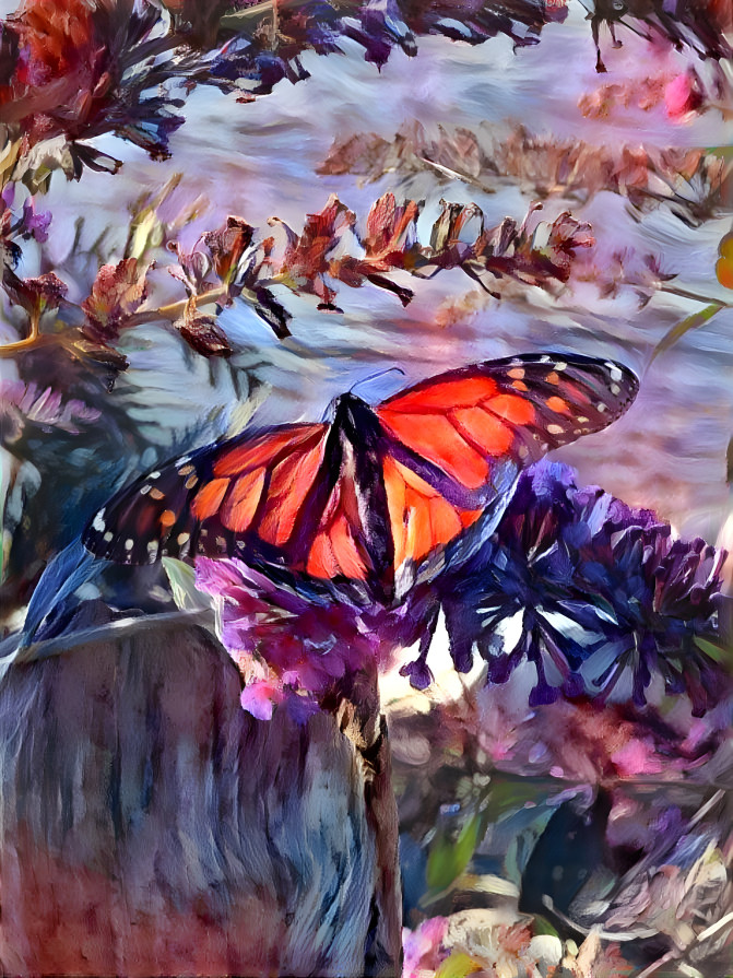 Monarch