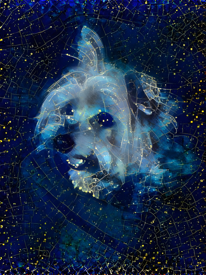 Yorkie Constellation