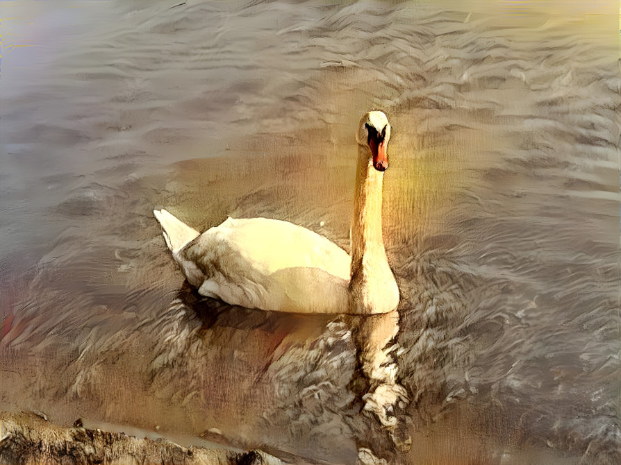 Swan