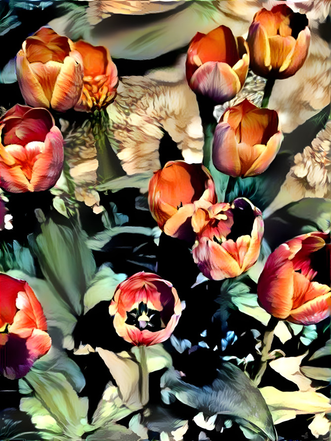 Tulips