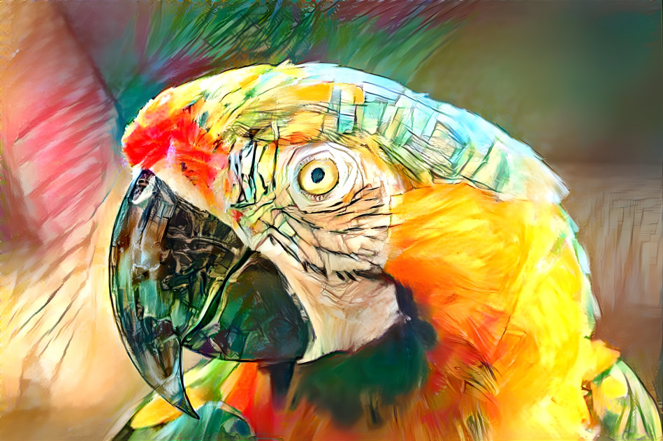 Parrot