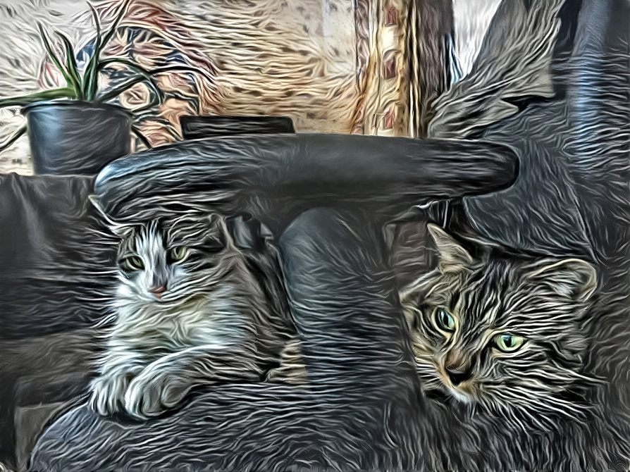 Chaircats