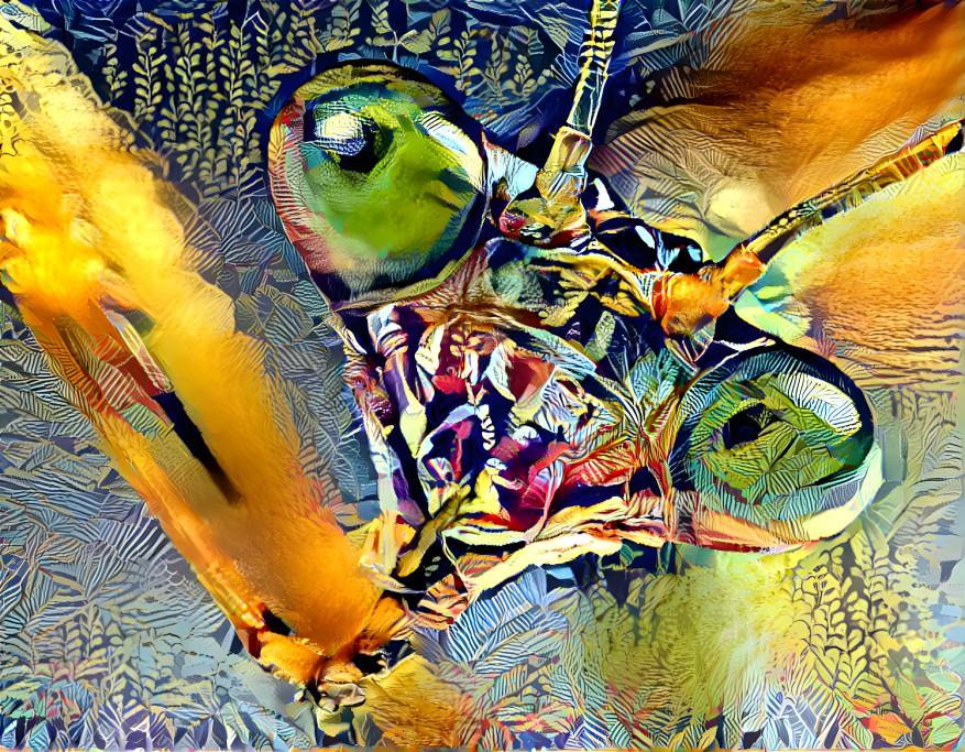 Mantis