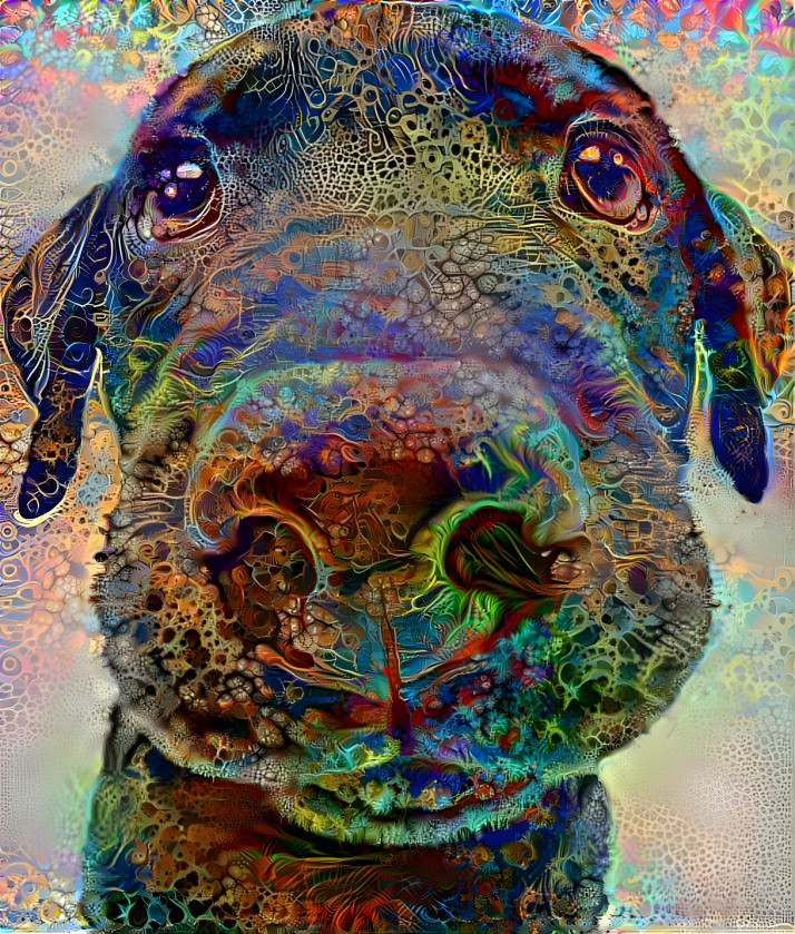 Dog on Drugs