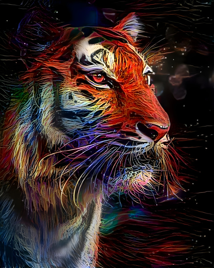 Tiger 