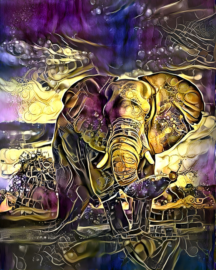 Elephant 