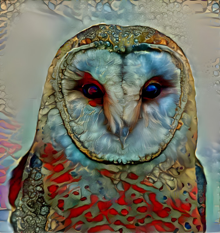 Owl 