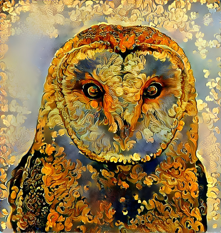 Owl