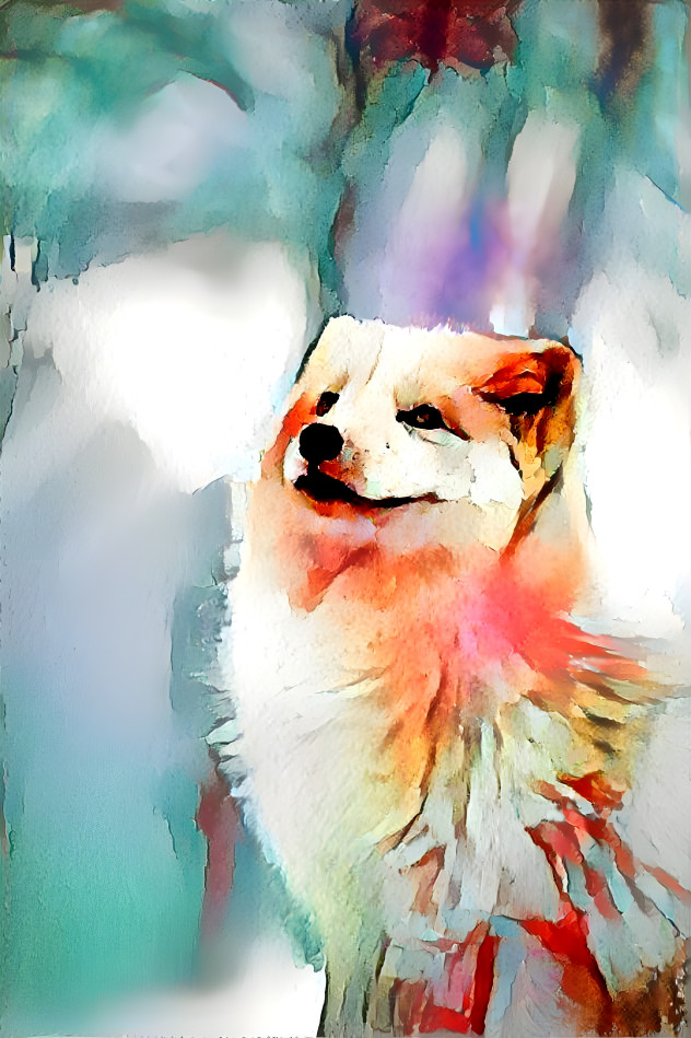 Polar fox