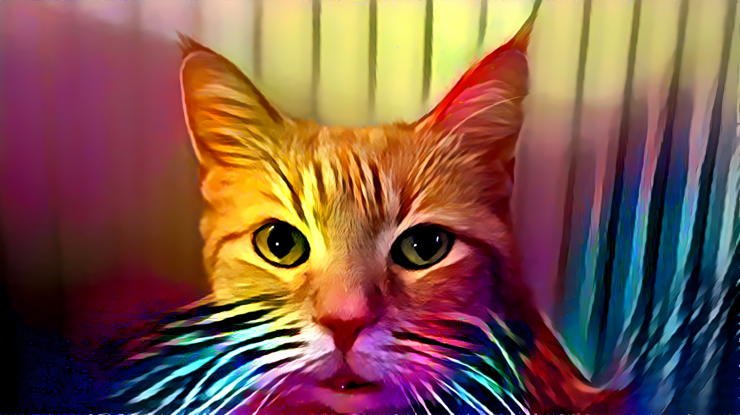 Rainbow Cat