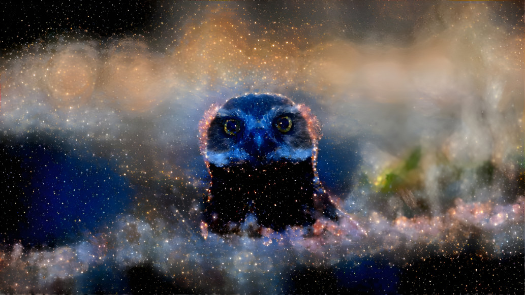 Star Owl