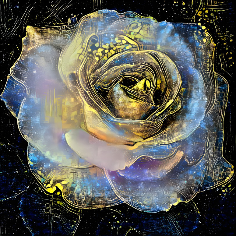 Starry Rose