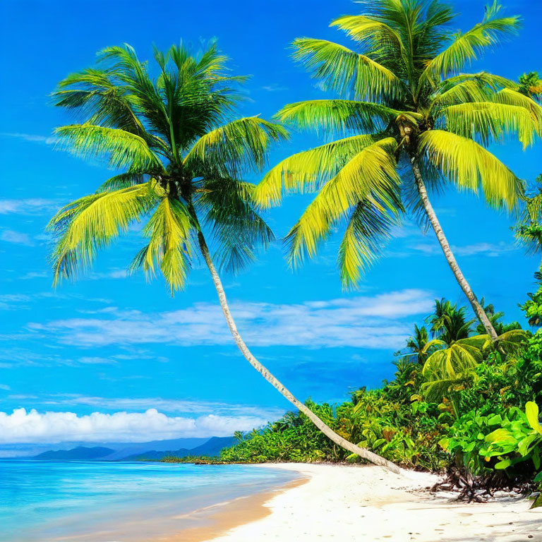 Sunny Tropical Beach Scene with Palm Trees and White Sand