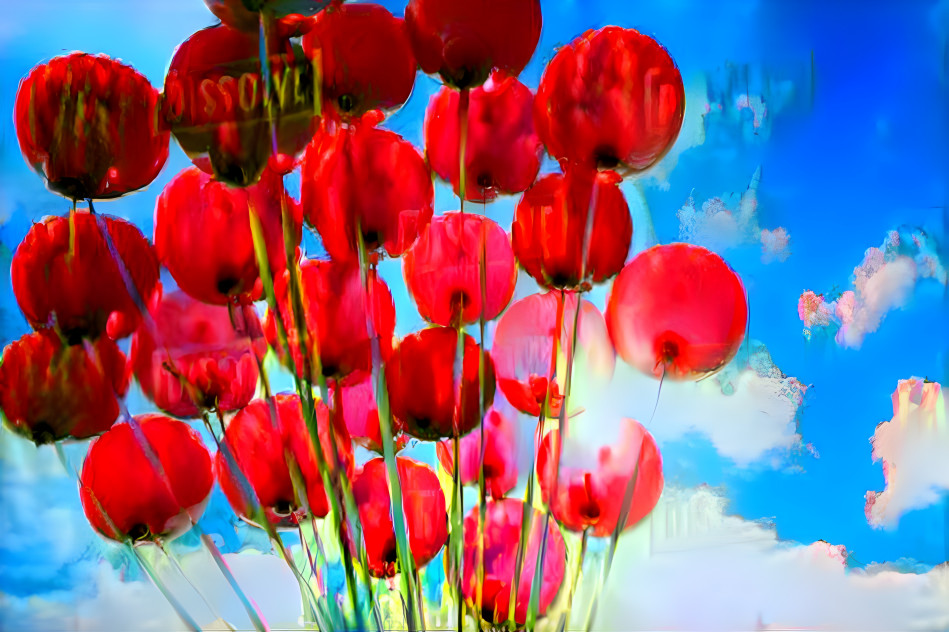 Poppy balloons