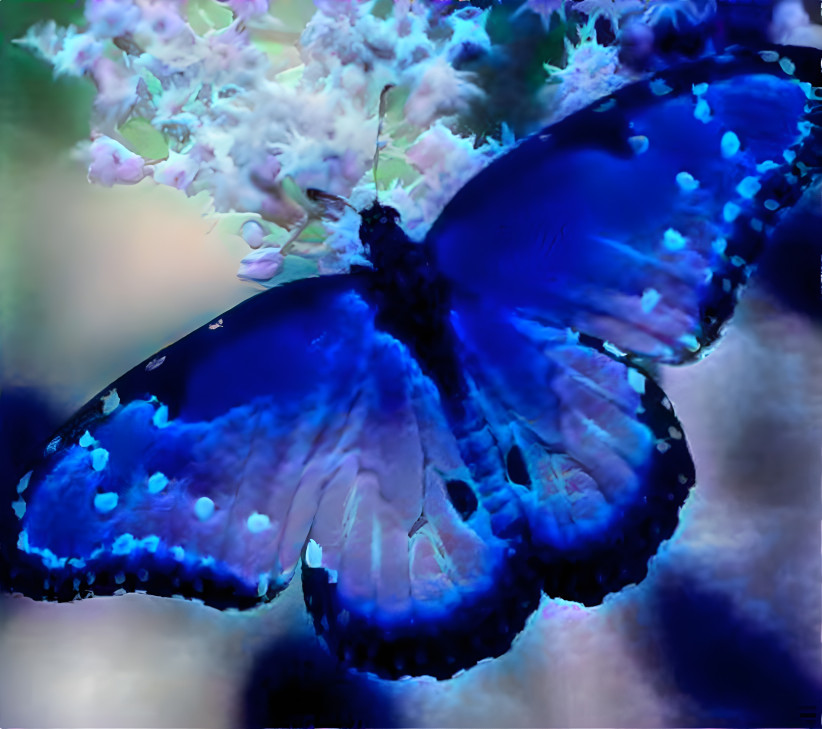 Blue butterfly 