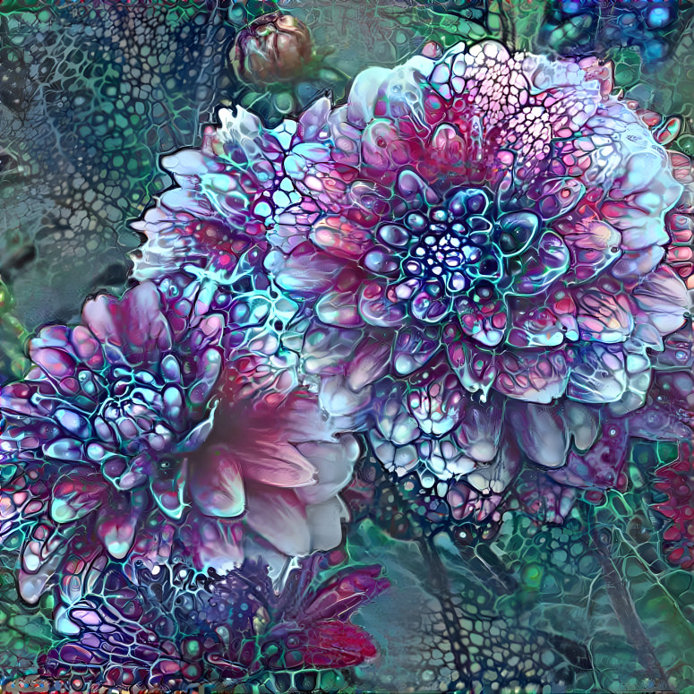 Dahlias