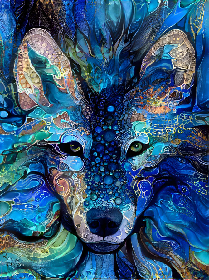 Beautiful wolf in blue hues