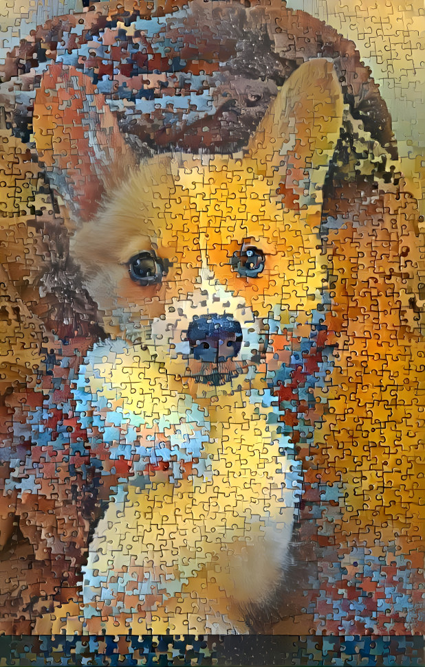 Puzzling corgi