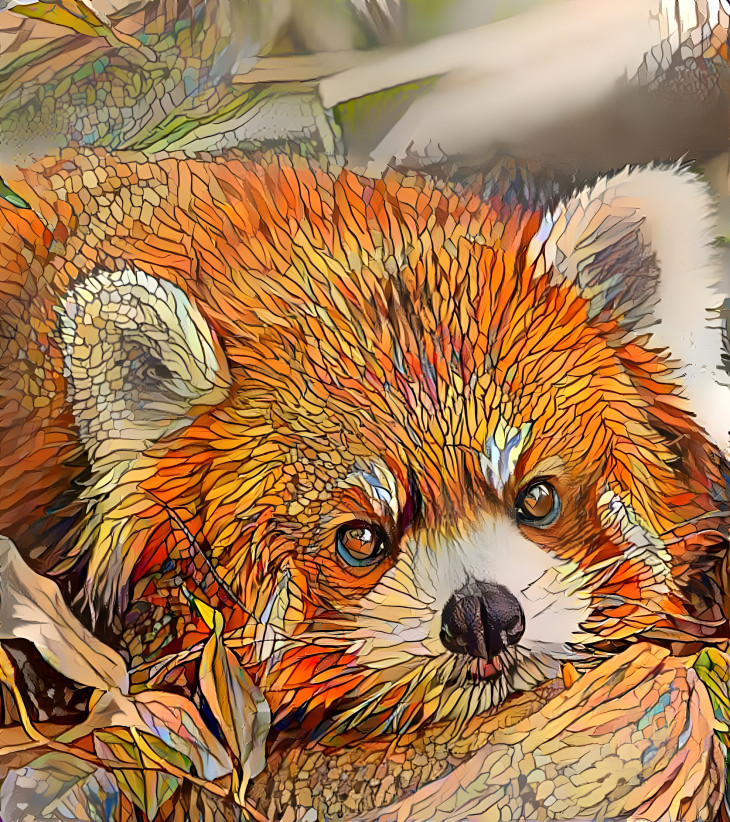 Dream Red Panda