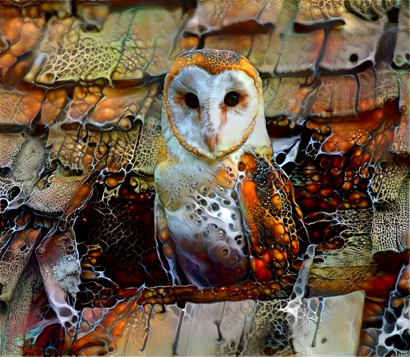 Owl on a very sad roof