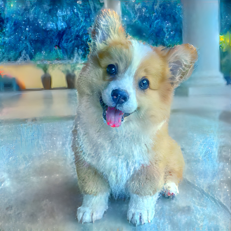 Corgi blues