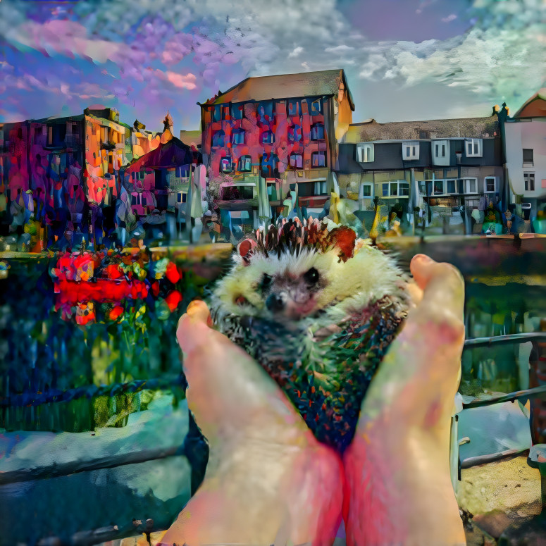 Hedgehog on the town