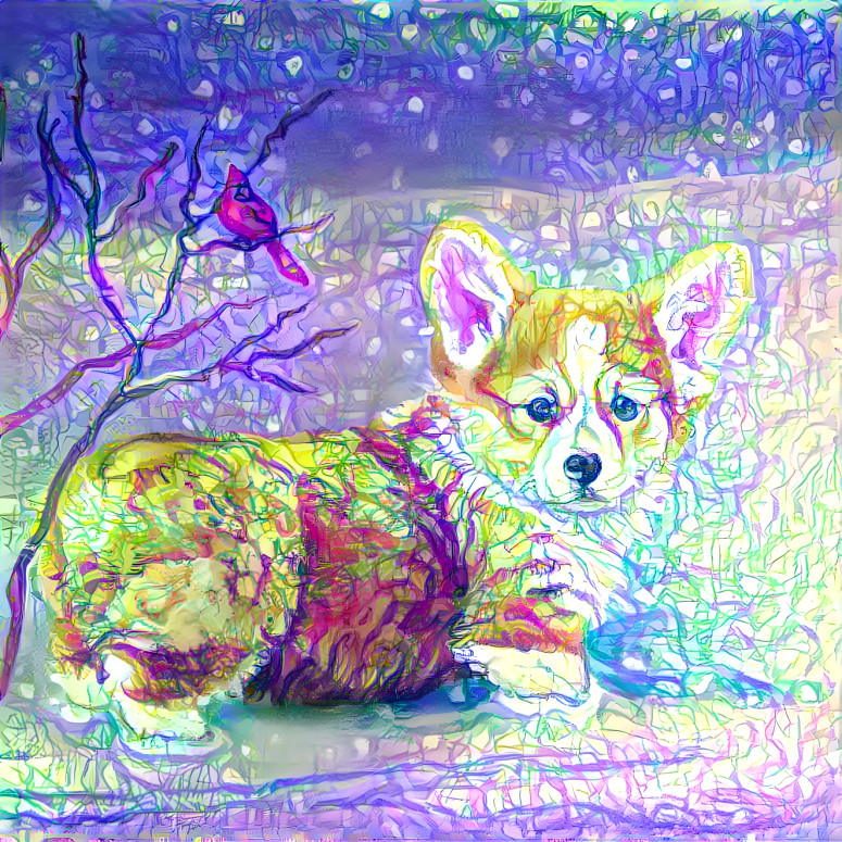 Corgi in purple snow