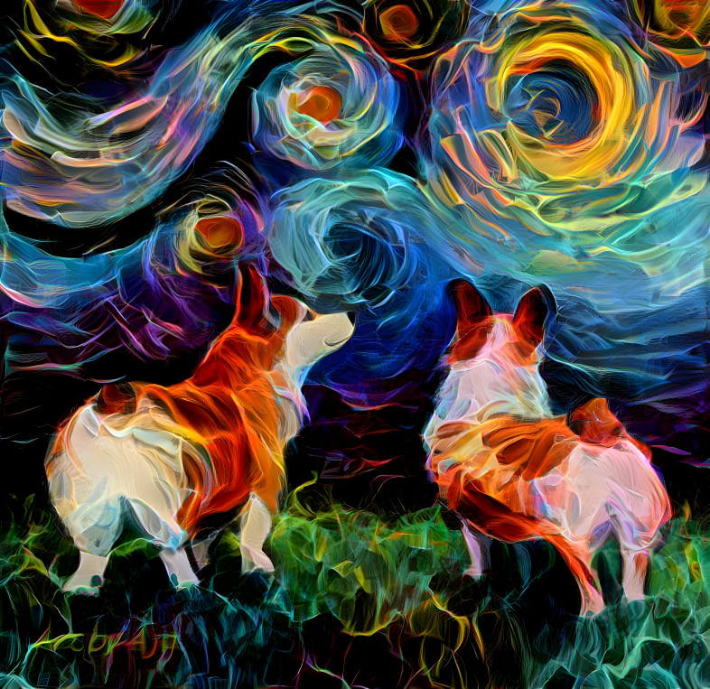 Corgis at night