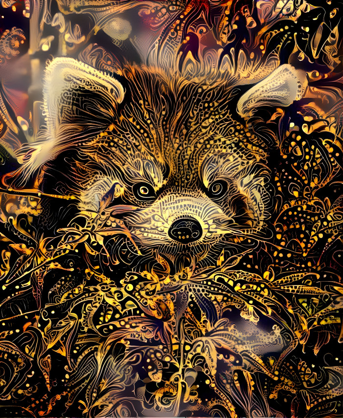 Firey red panda